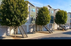 Conveniently Located Beautiful Sunnyview Townhomes - Apply Today!