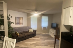 1 bed 1 bath pet friendly Furnished Apartment