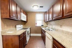 Freshly  !! 2 bed, 2 baths apartment for rent