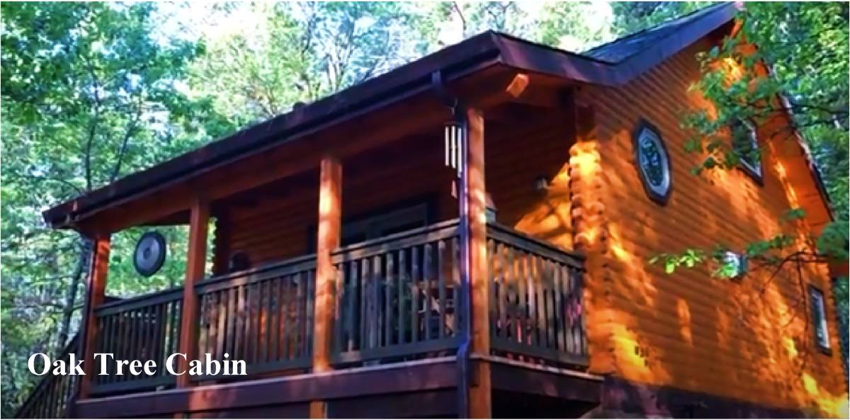 Welcome Home! Several Cabins for Rent, Beautiful Setting.