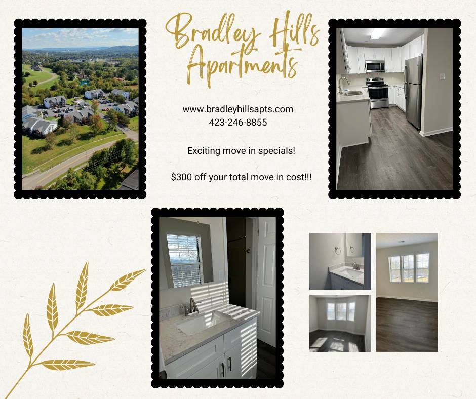Two bedroom remodeled unit at Bradley Hills Apartments