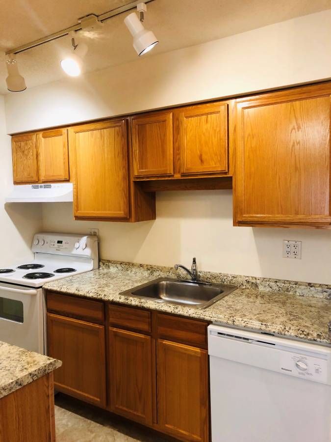 Fully Remodeled 1 Bed Downtown Area! Avail 7/1/23