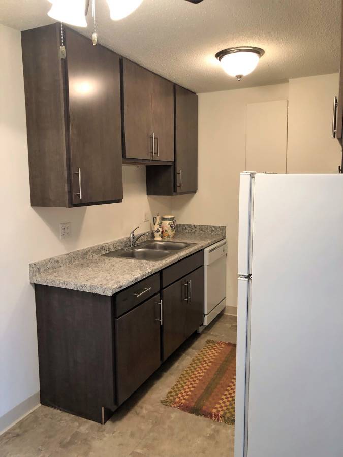2 Bed 1 Bath Remodeled City View! Near Campus/Downtown Avail 8/1/23!