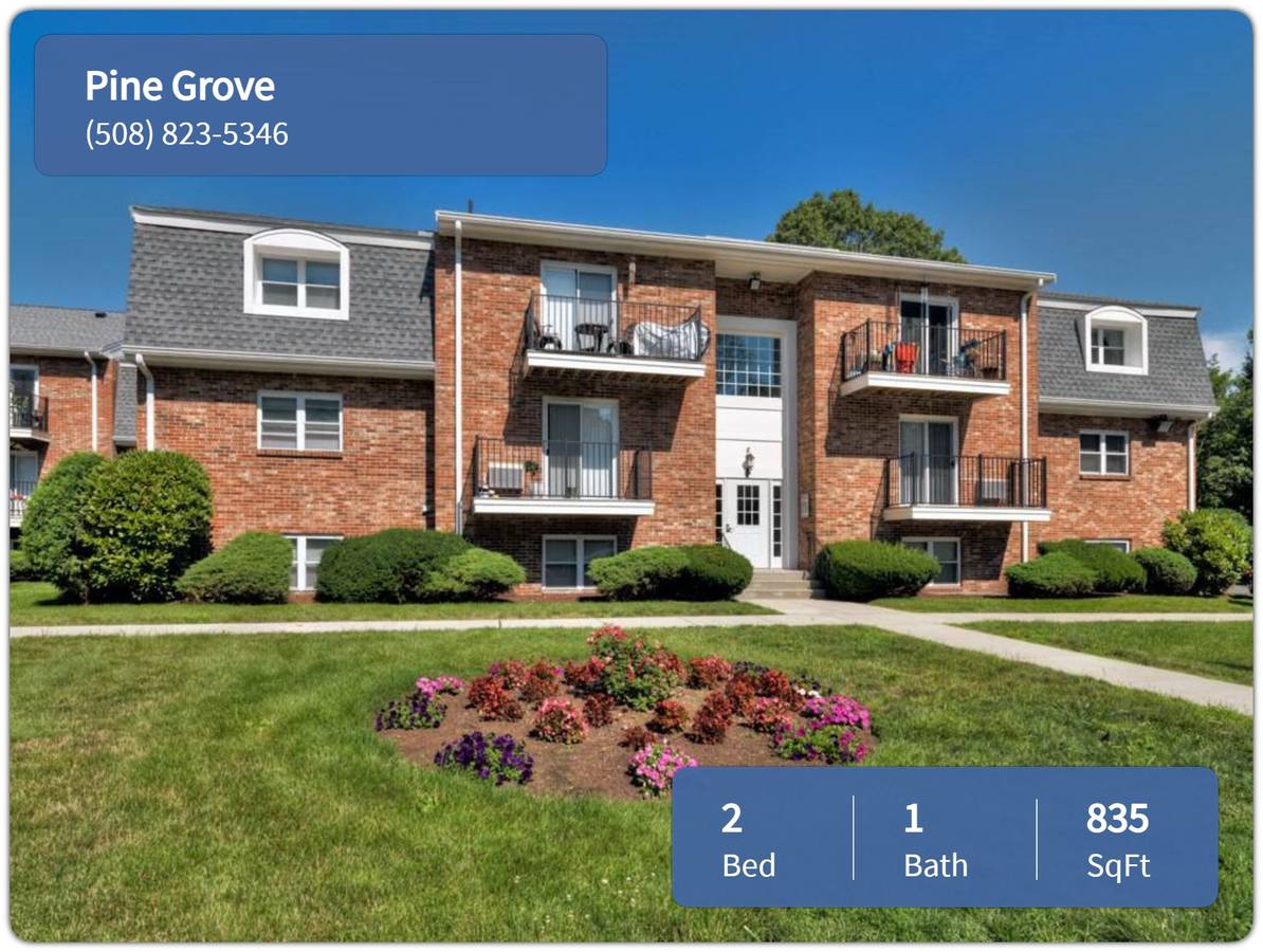 Looking for the ideal 2 bed / 1 bath? Check out Pine Grove!